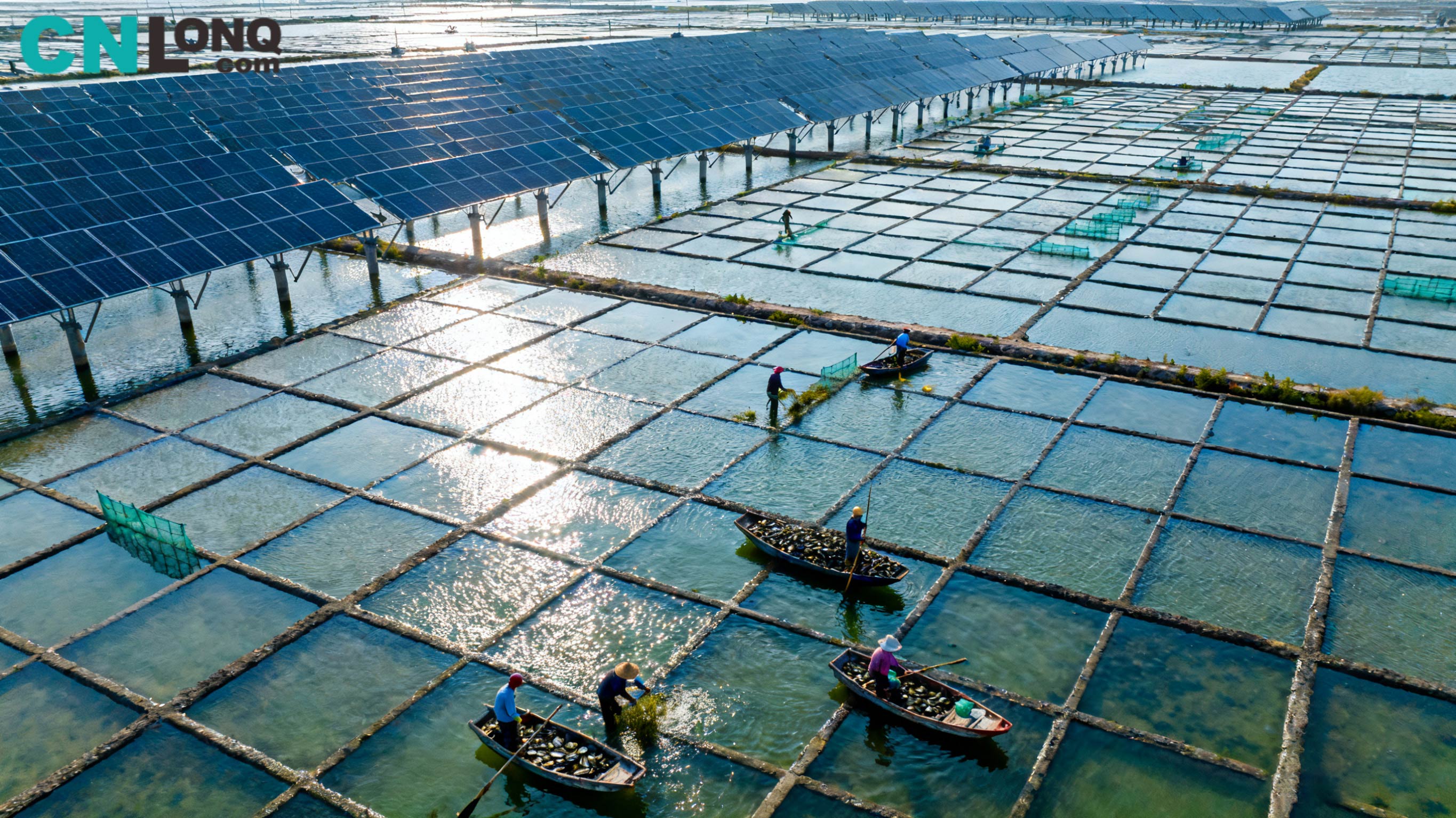 Investissement total de 1,2 milliard de RMB ! Inauguration du projet « complémentaire pêche-solaire » de 250 MW du champ salin de Xindao Qingkou